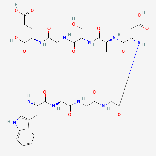 Struktura 2D — DSIP